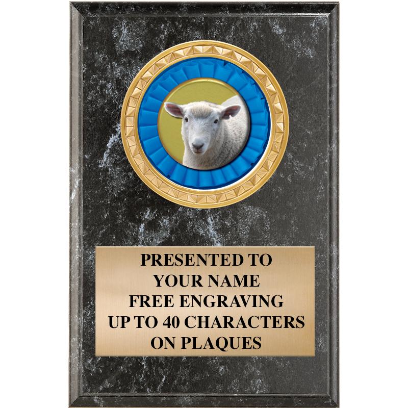 4" X 6" BLK MBL INSERT PLQ