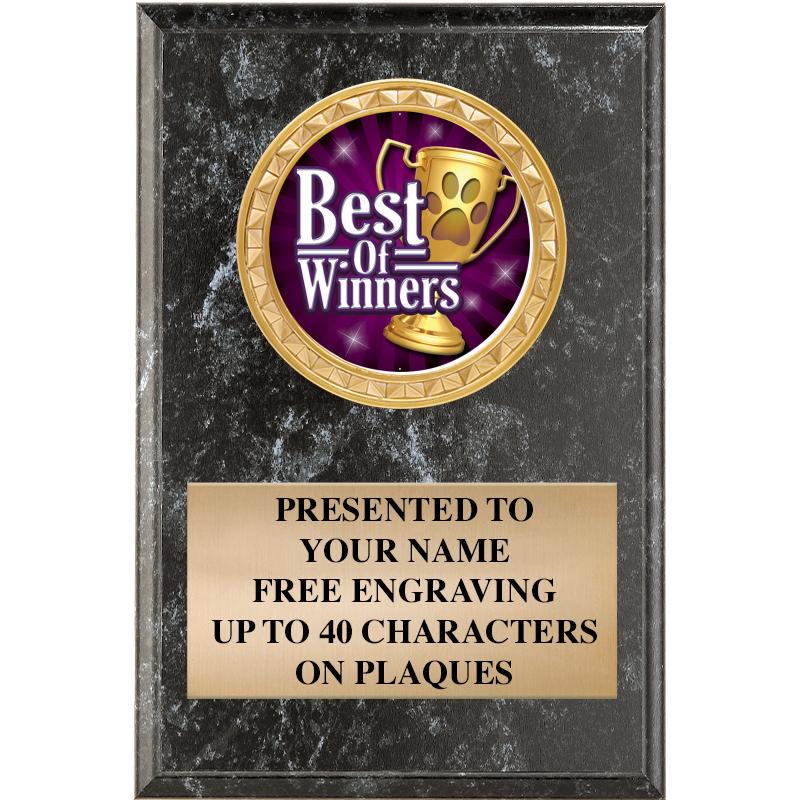 Winner Plaques Crown Awards