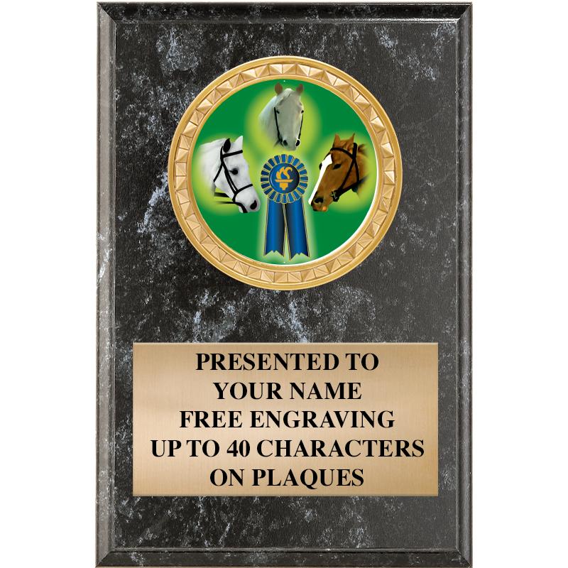 4" X 6" BLK MBL INSERT PLQ