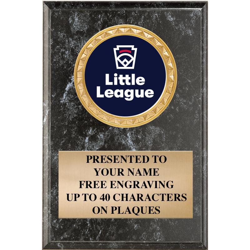 4" X 6" BLK MBL INSERT PLQ