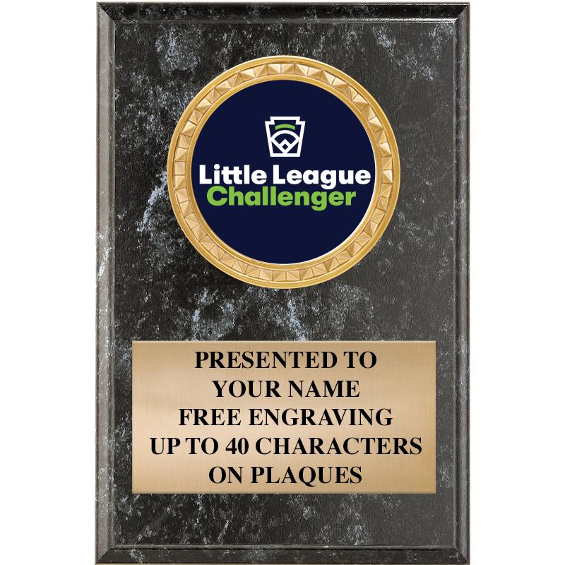 4" X 6" BLK MBL INSERT PLQ