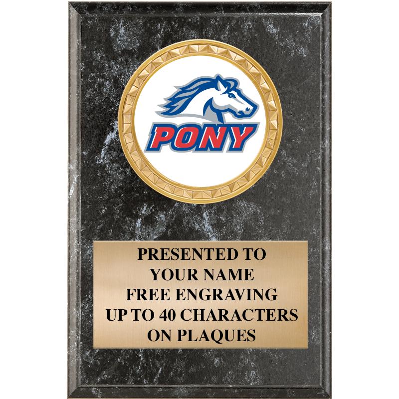 4" X 6" BLK MBL INSERT PLQ