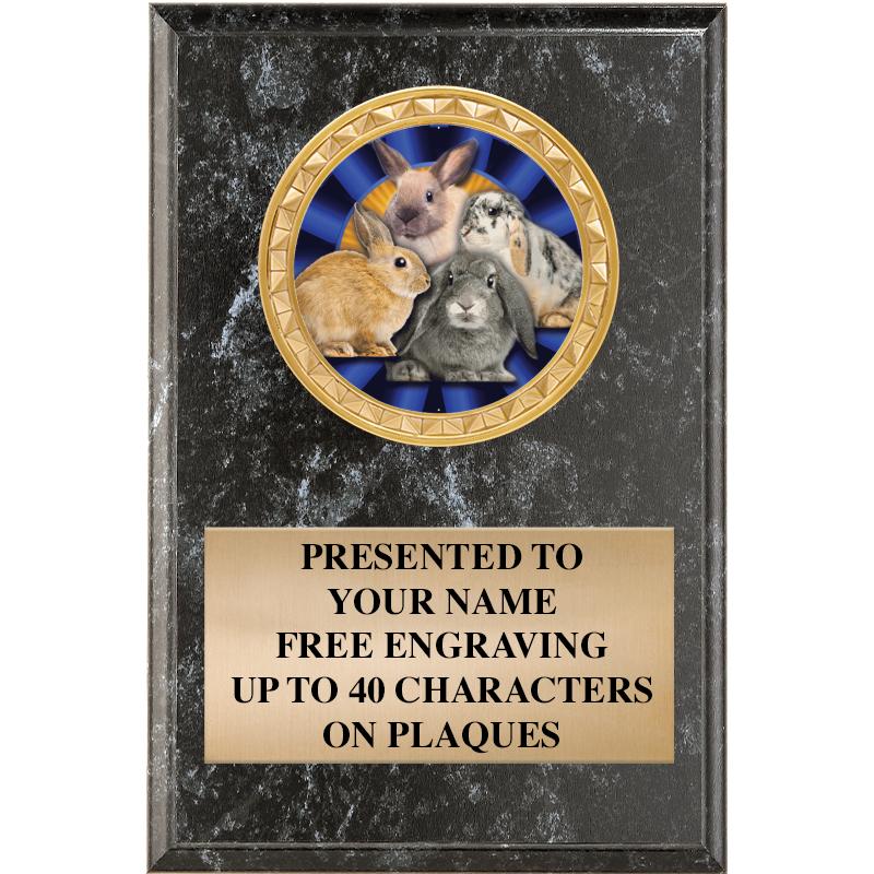 4" X 6" BLK MBL INSERT PLQ