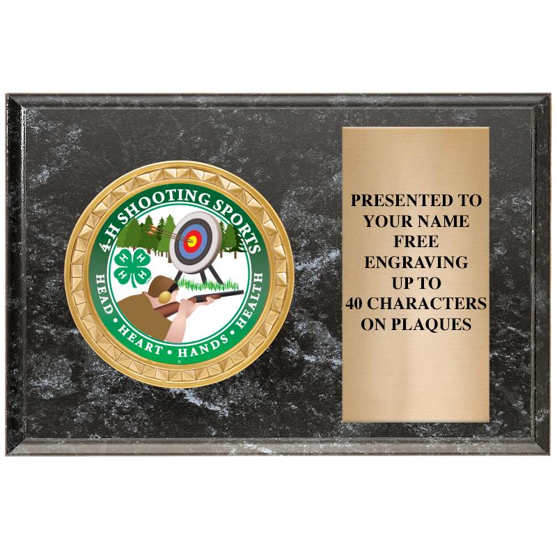 6" X 4" BLACK MBL INSERT PLQ