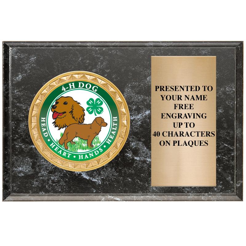 6" X 4" BLACK MBL INSERT PLQ