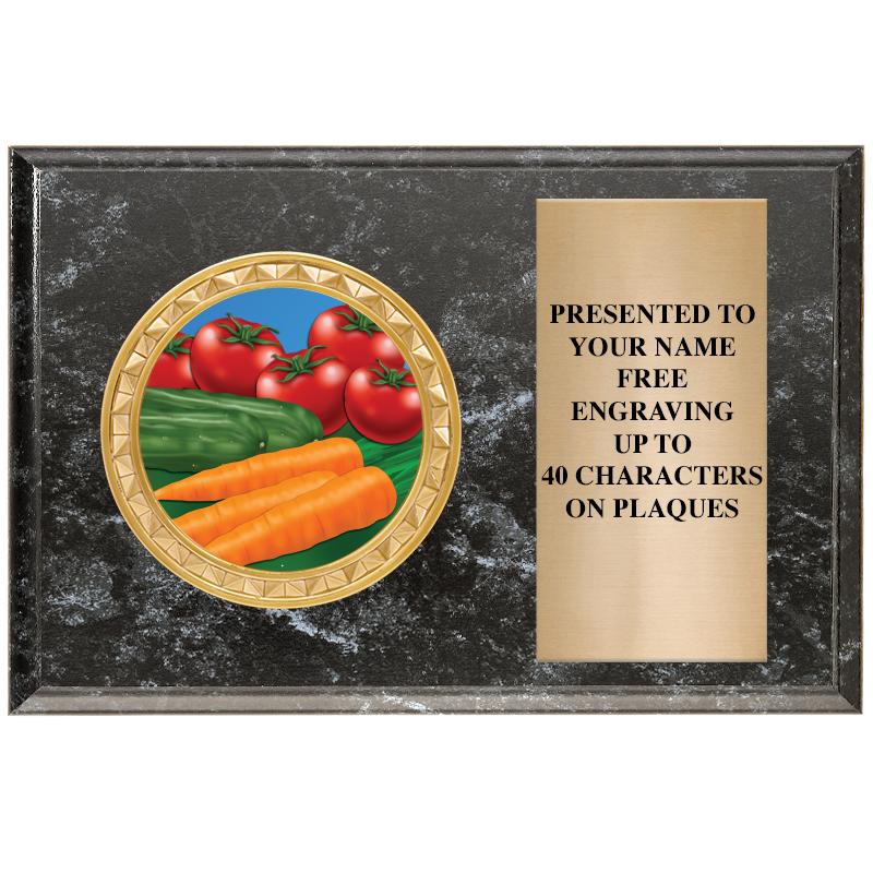 6" X 4" BLACK MBL INSERT PLQ