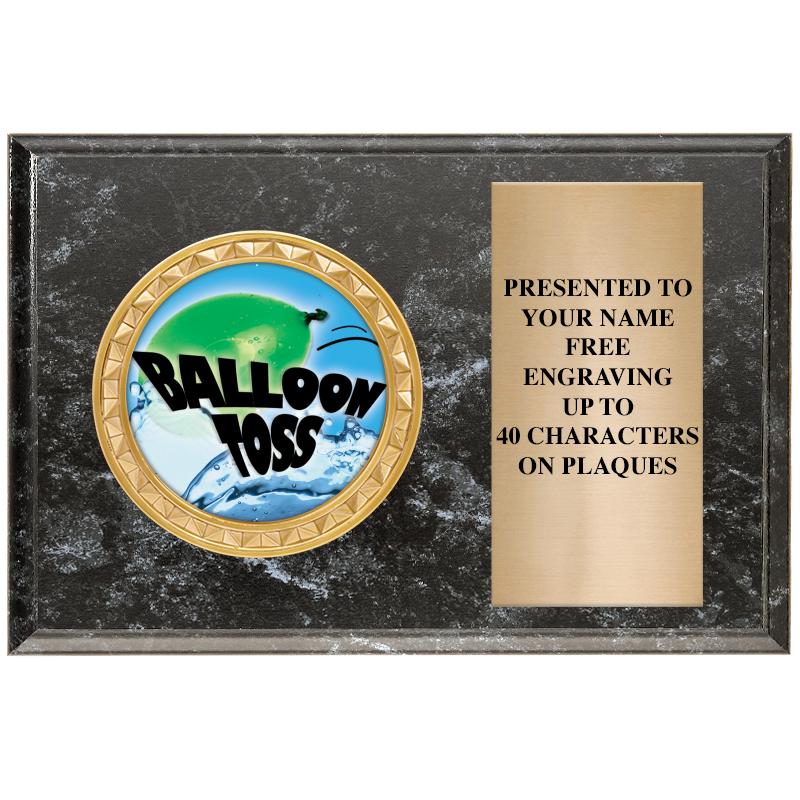 6" X 4" BLACK MBL INSERT PLQ
