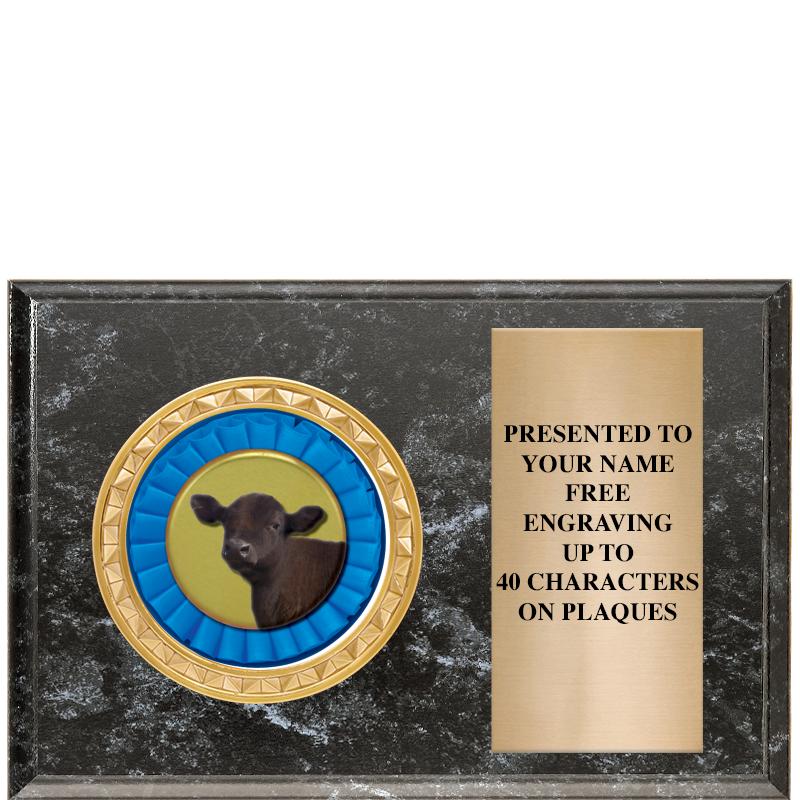 6" X 4" BLACK MBL INSERT PLQ