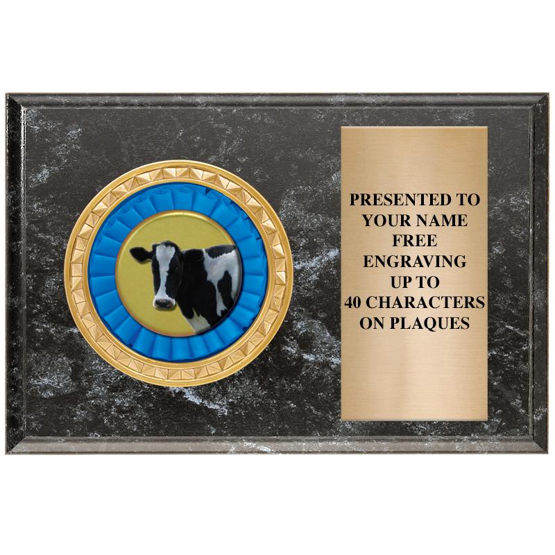 6" X 4" BLACK MBL INSERT PLQ