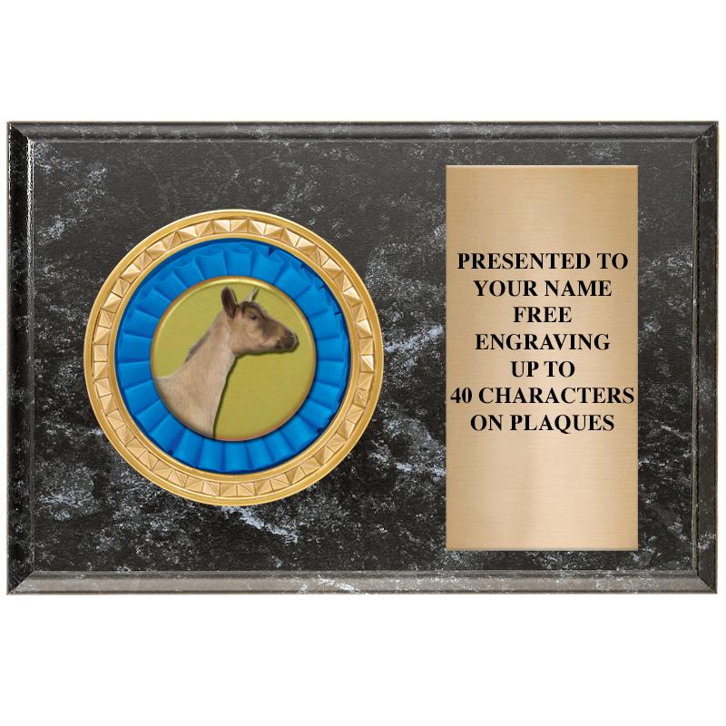 6" X 4" BLACK MBL INSERT PLQ