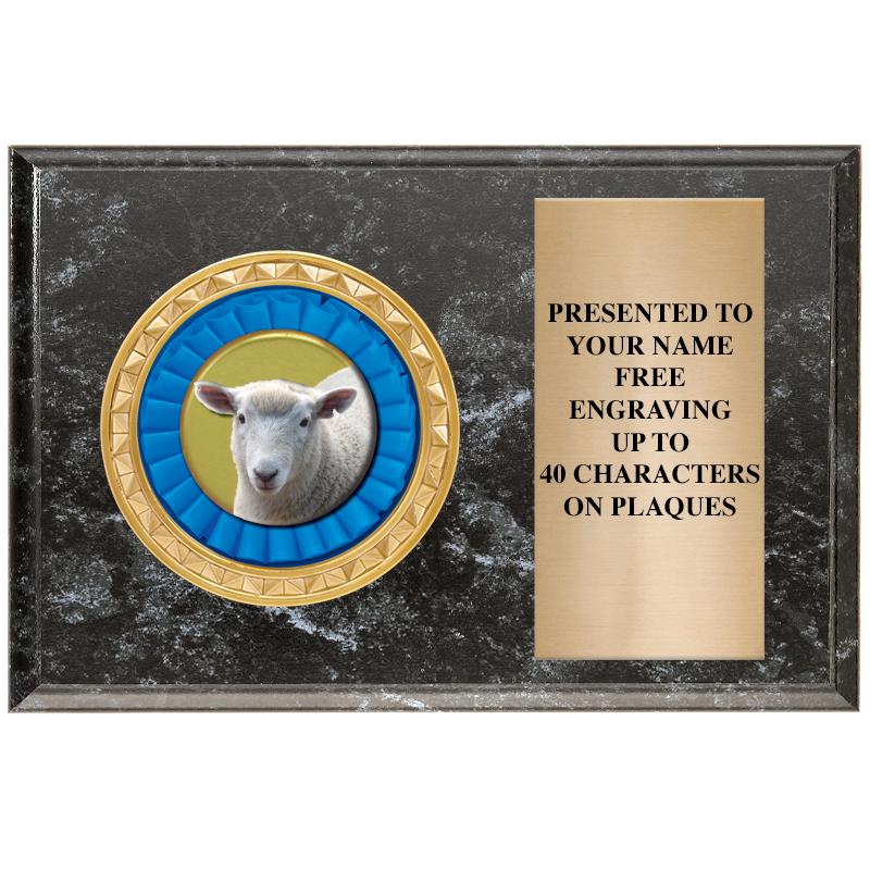 6" X 4" BLACK MBL INSERT PLQ