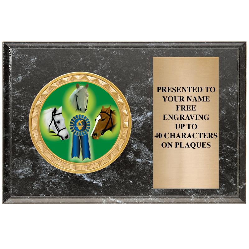 6" X 4" BLACK MBL INSERT PLQ