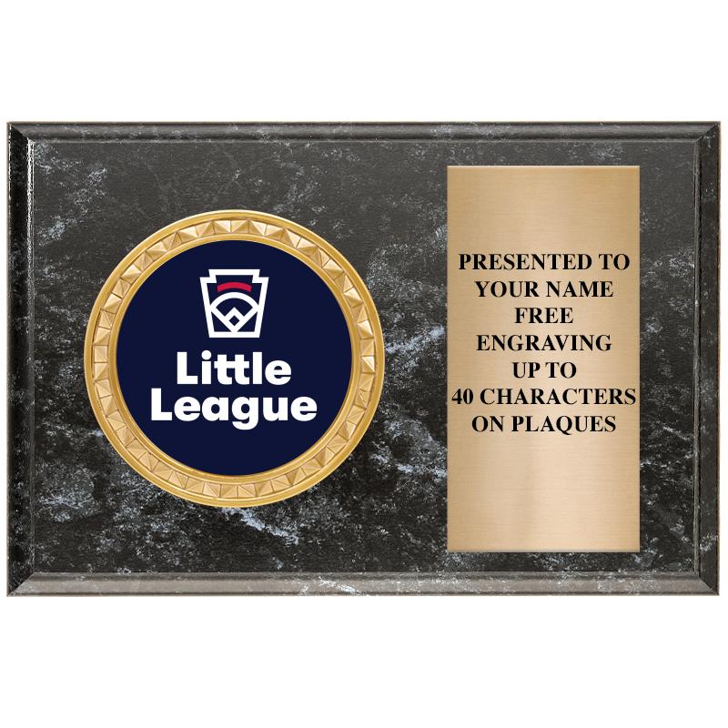 6" X 4" BLACK MBL INSERT PLQ