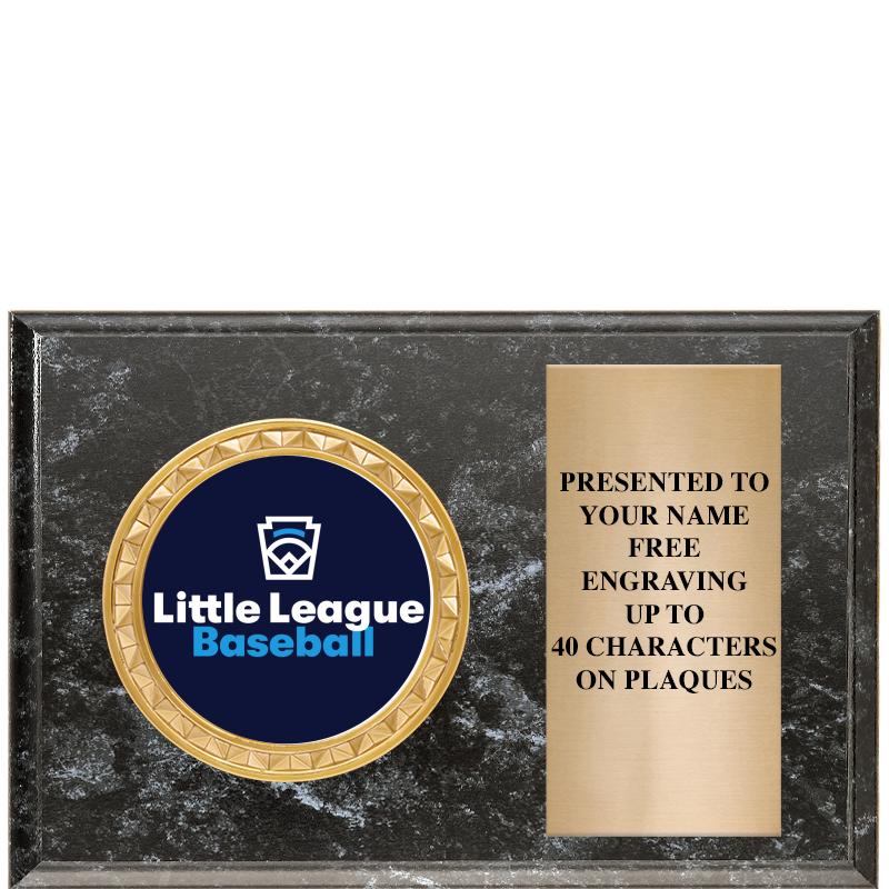 6" X 4" BLACK MBL INSERT PLQ