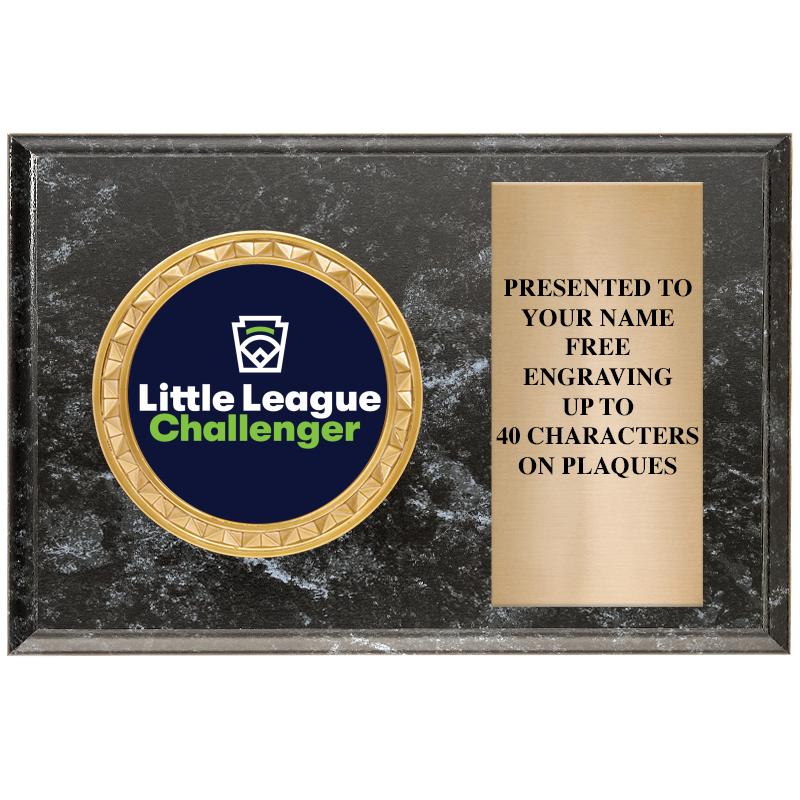 6" X 4" BLACK MBL INSERT PLQ