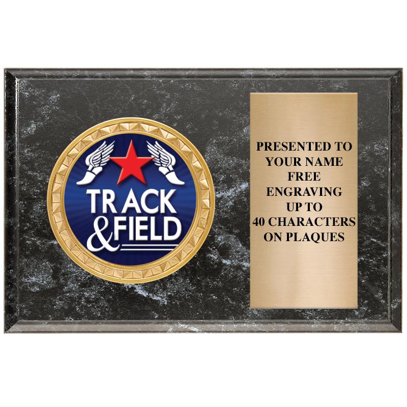 6" X 4" BLACK MBL INSERT PLQ