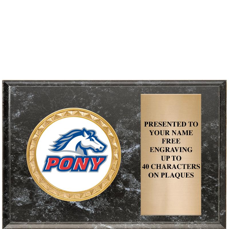 6" X 4" BLACK MBL INSERT PLQ