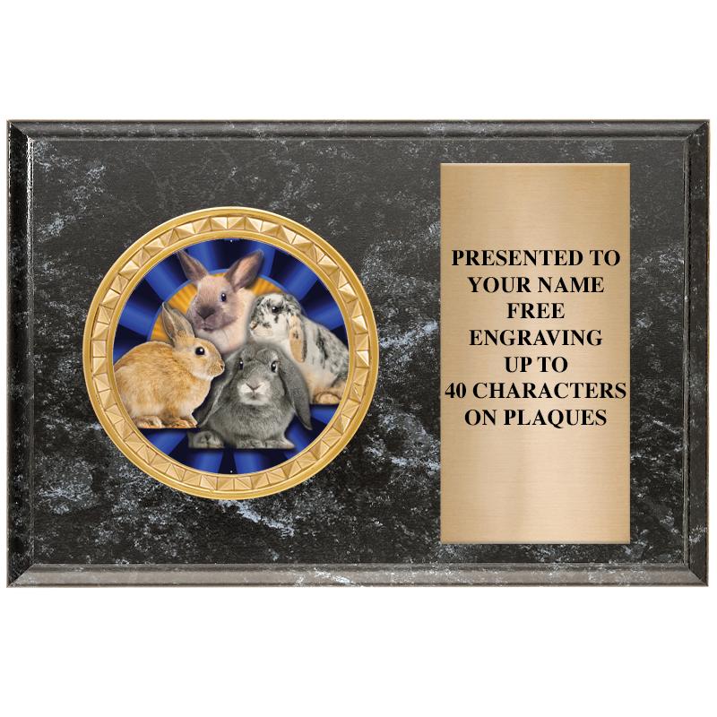 6" X 4" BLACK MBL INSERT PLQ