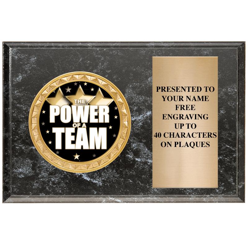 6" X 4" BLACK MBL INSERT PLQ