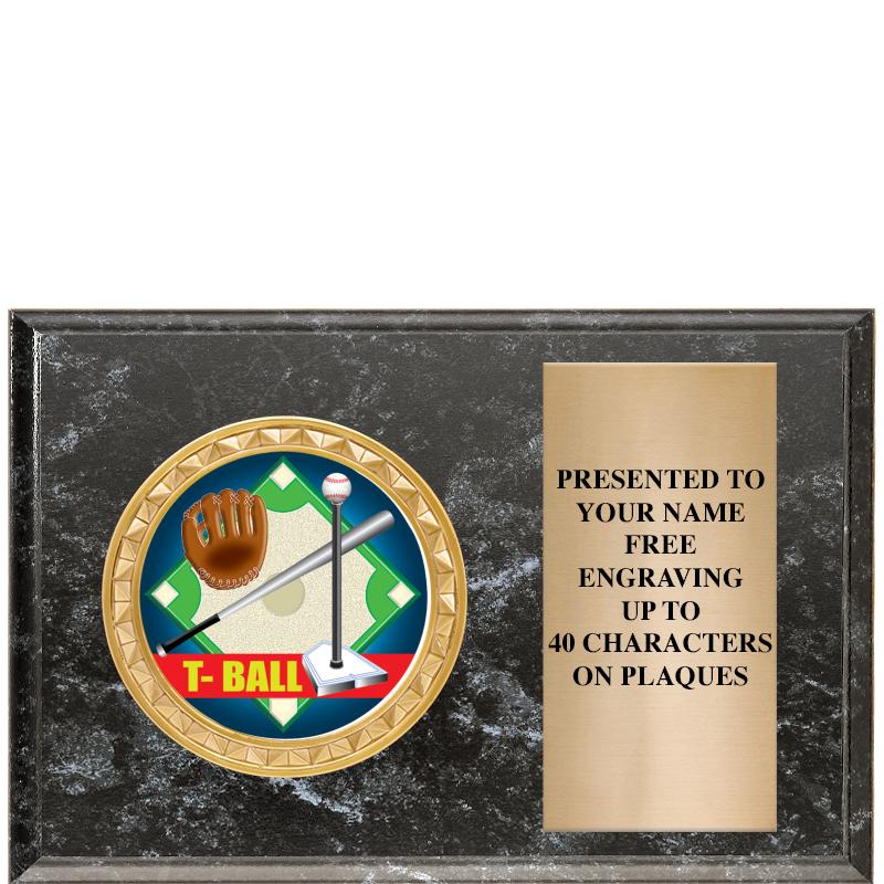 6" X 4" BLACK MBL INSERT PLQ