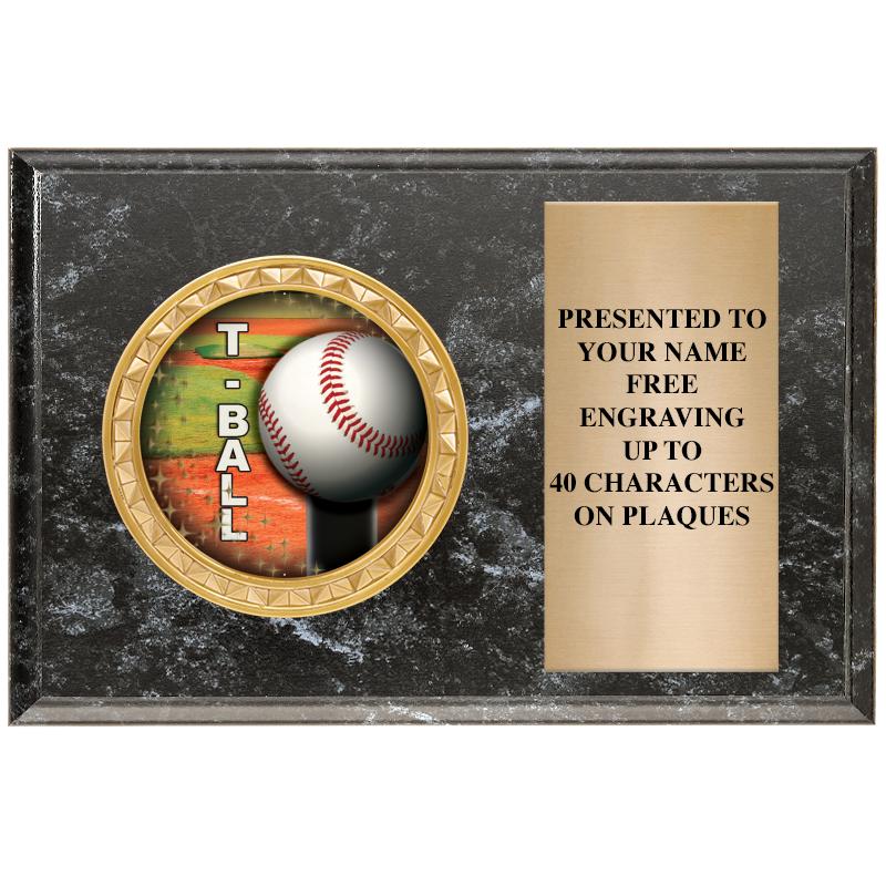 6" X 4" BLACK MBL INSERT PLQ