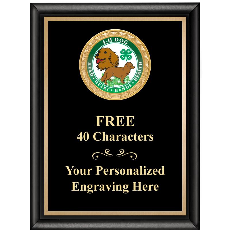 6X8 BLK SHINY EXEC INSERT PLQ