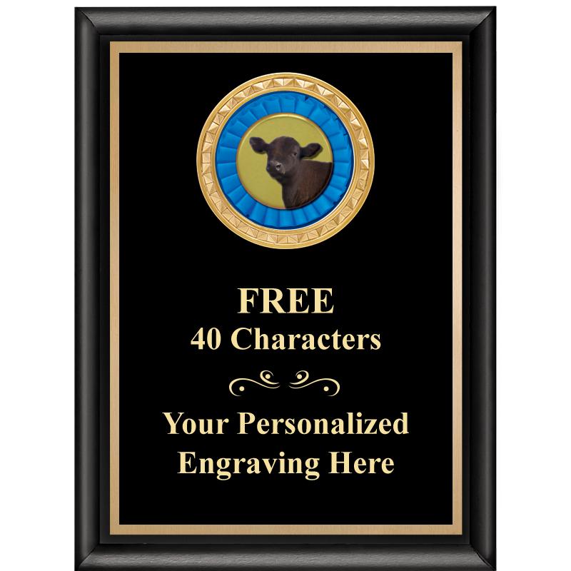 6X8 BLK SHINY EXEC INSERT PLQ