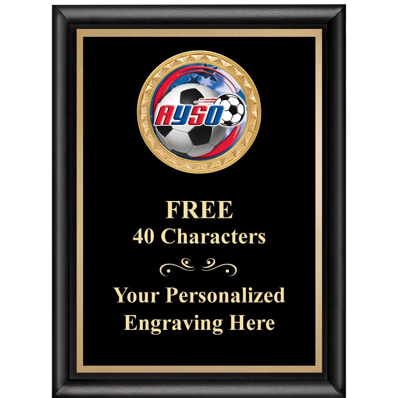 6X8 BLK SHINY EXEC INSERT PLQ