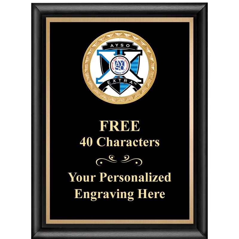 6X8 BLK SHINY EXEC INSERT PLQ