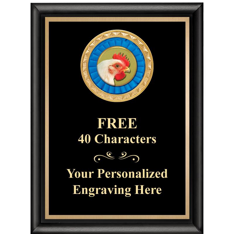 6X8 BLK SHINY EXEC INSERT PLQ