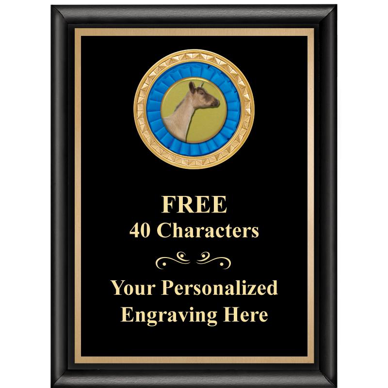 6X8 BLK SHINY EXEC INSERT PLQ