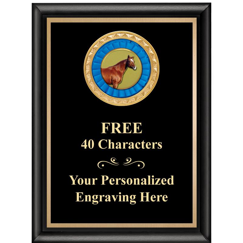 6X8 BLK SHINY EXEC INSERT PLQ