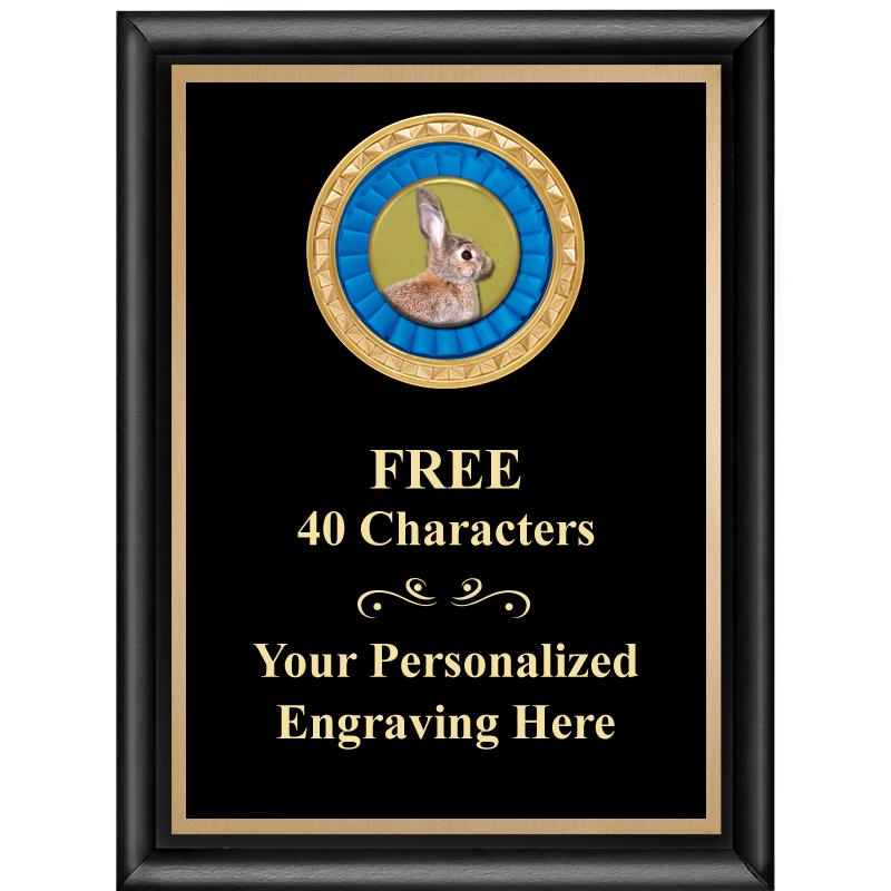 6X8 BLK SHINY EXEC INSERT PLQ