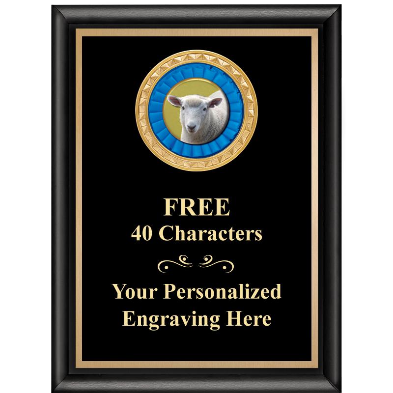 6X8 BLK SHINY EXEC INSERT PLQ