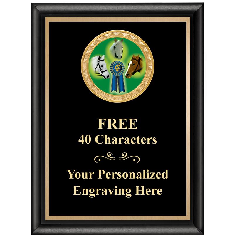 6X8 BLK SHINY EXEC INSERT PLQ