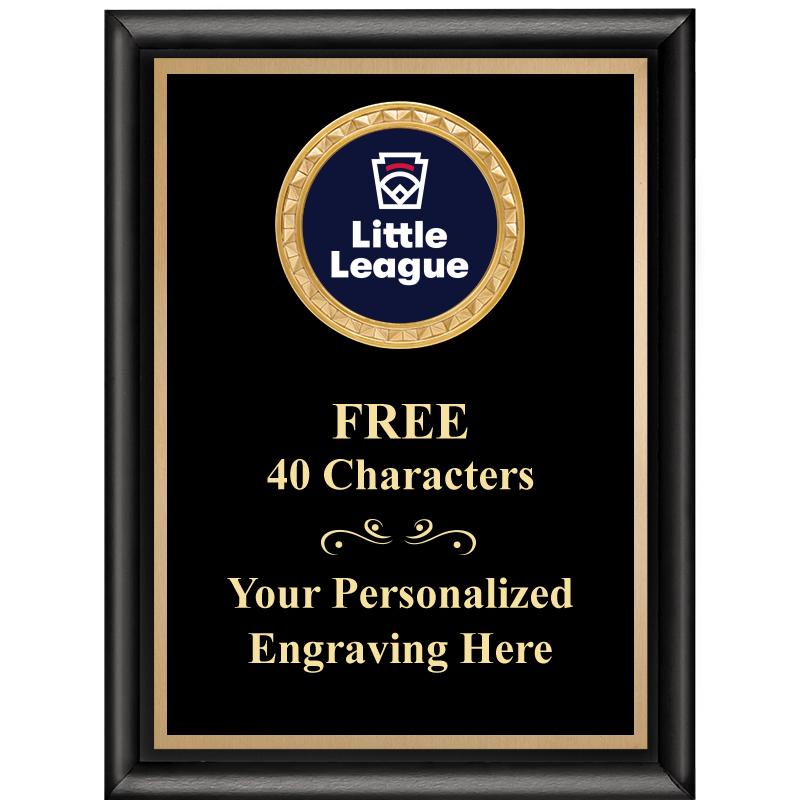 6X8 BLK SHINY EXEC INSERT PLQ