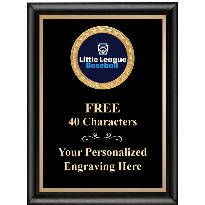 6X8 BLK SHINY EXEC INSERT PLQ