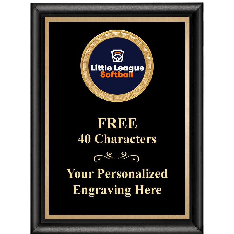 6X8 BLK SHINY EXEC INSERT PLQ