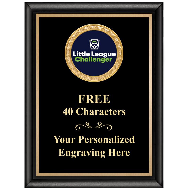 6X8 BLK SHINY EXEC INSERT PLQ