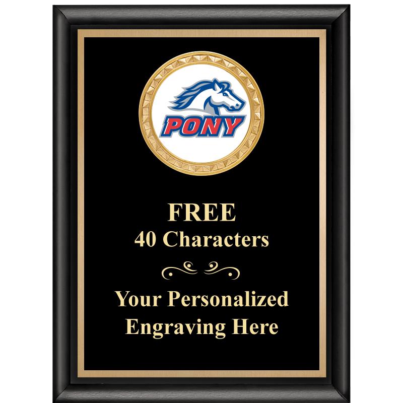 6X8 BLK SHINY EXEC INSERT PLQ