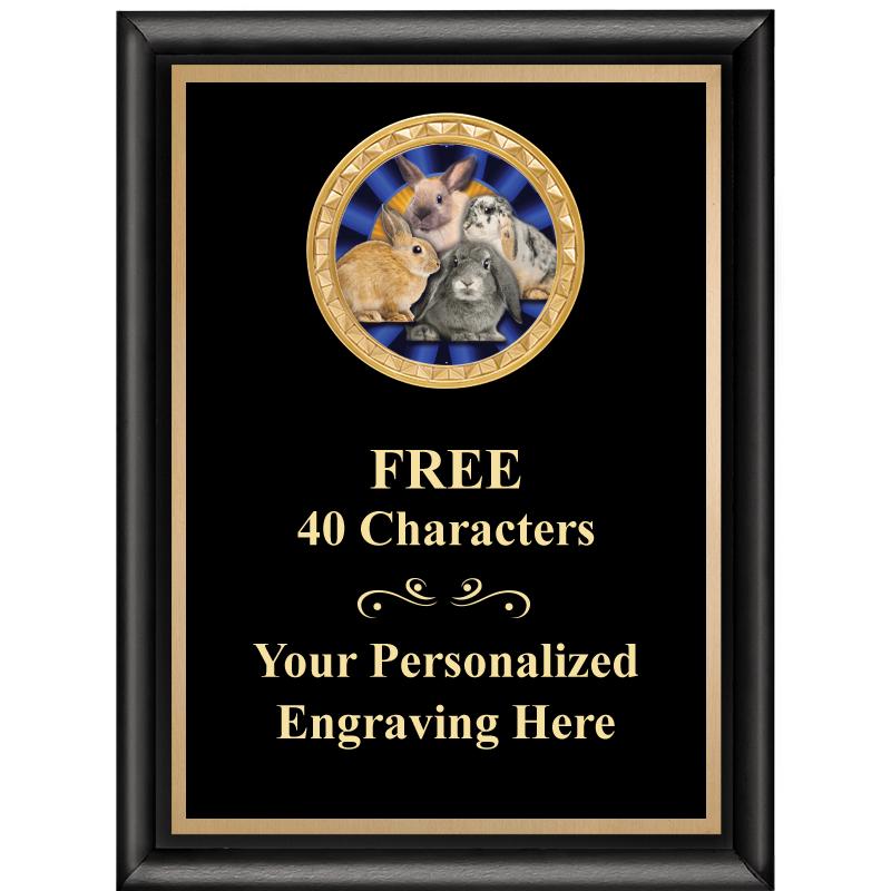 6X8 BLK SHINY EXEC INSERT PLQ