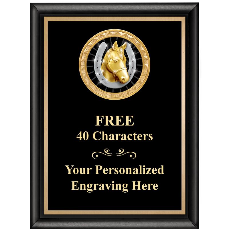 6X8 BLK SHINY EXEC INSERT PLQ