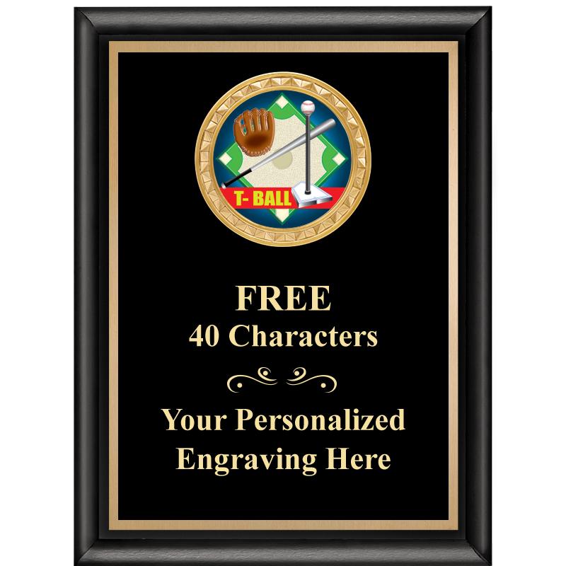 6X8 BLK SHINY EXEC INSERT PLQ