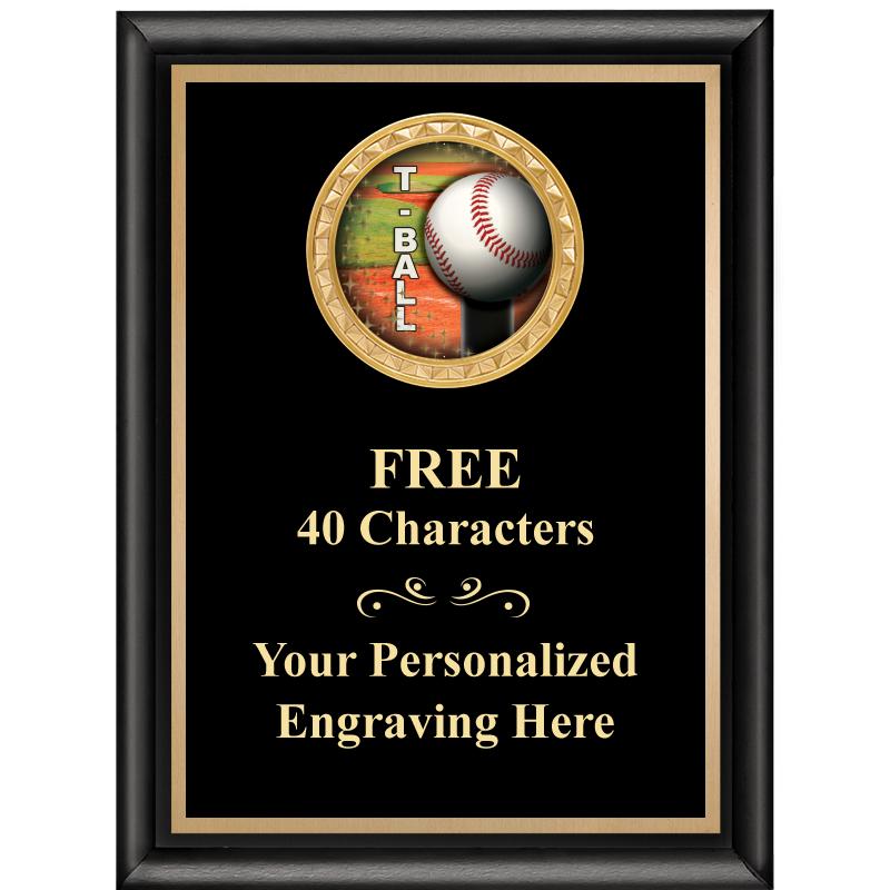 6X8 BLK SHINY EXEC INSERT PLQ