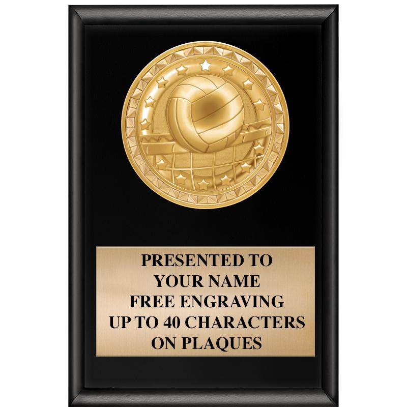 4" X 6" SHINY BLACK INSERT PLQ