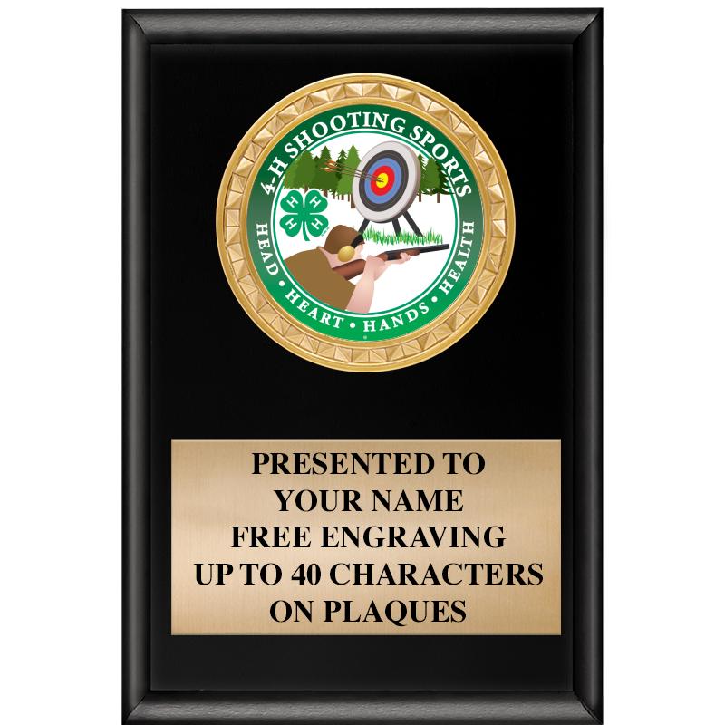 4" X 6" SHINY BLACK INSERT PLQ