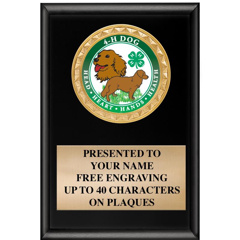 4" X 6" SHINY BLACK INSERT PLQ