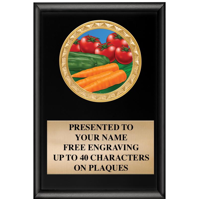 4" X 6" SHINY BLACK INSERT PLQ