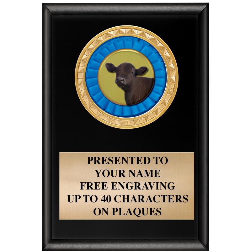 4" X 6" SHINY BLACK INSERT PLQ