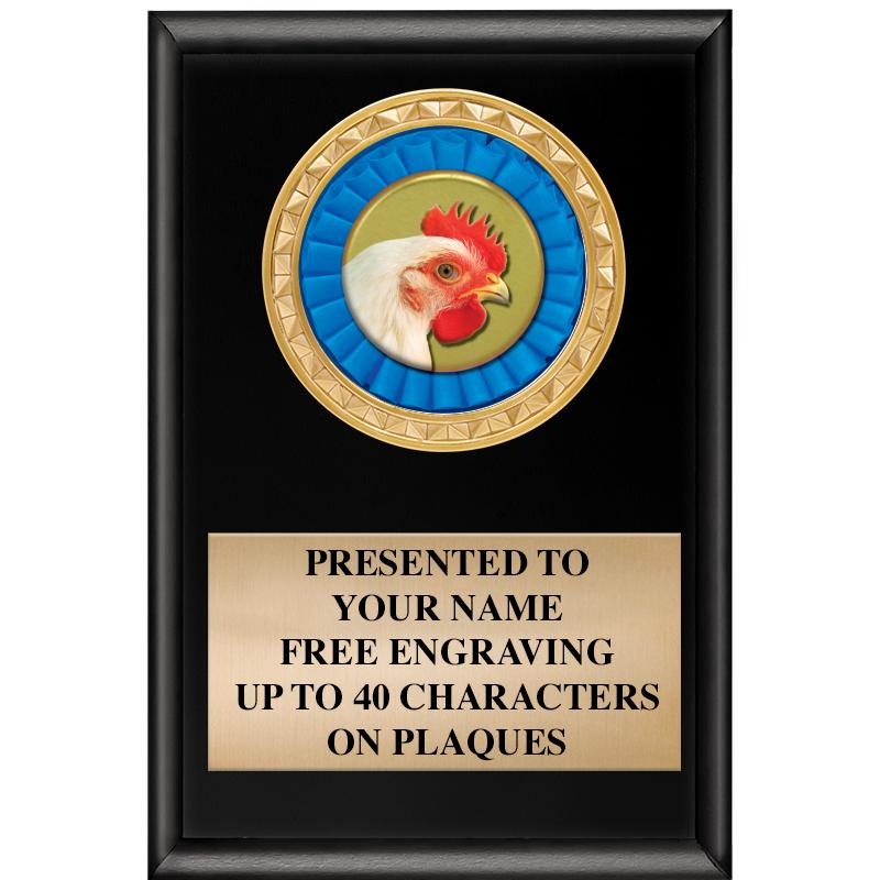 4" X 6" SHINY BLACK INSERT PLQ